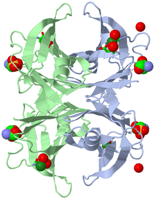 Image Biol. Unit 1 - sites