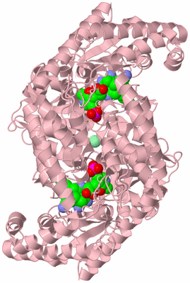 Image Biological Unit 2