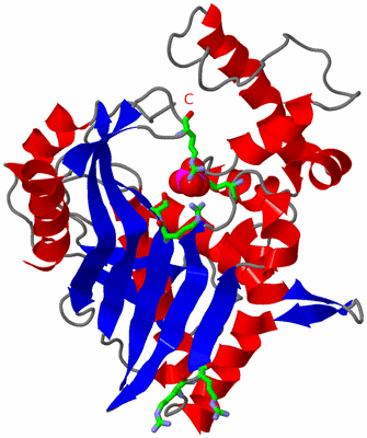 Image Asym. Unit - sites