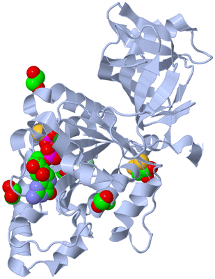 Image Biological Unit 1