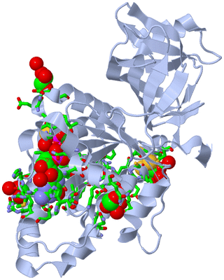 Image Biol. Unit 1 - sites