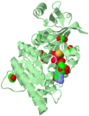 Image Biological Unit 2