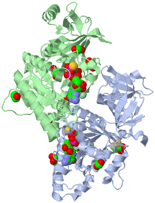 Image Biological Unit 3