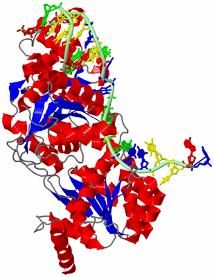 Image Asym./Biol. Unit