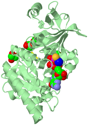 Image Biological Unit 1