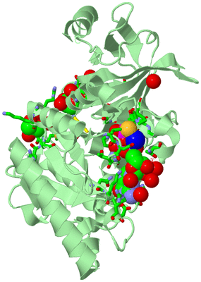 Image Biol. Unit 1 - sites