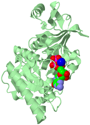 Image Biological Unit 2