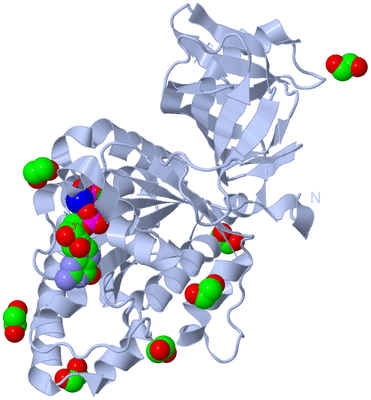 Image Biological Unit 1