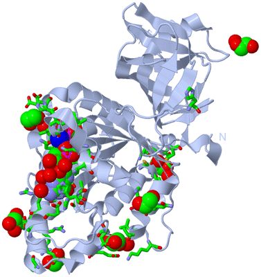 Image Biol. Unit 1 - sites