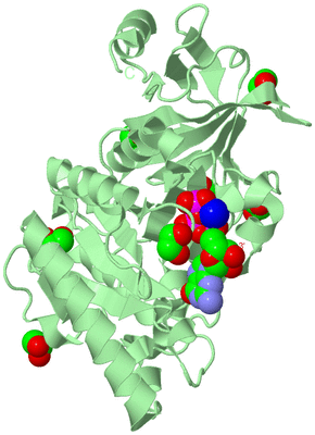 Image Biological Unit 2