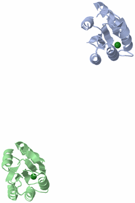 Image Asymmetric Unit