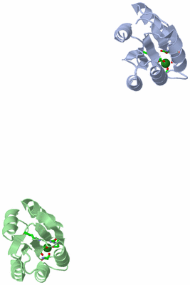 Image Asym. Unit - sites