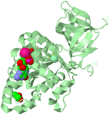 Image Biological Unit 1