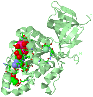 Image Biol. Unit 1 - sites