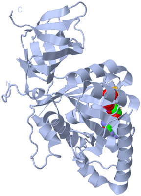 Image Biological Unit 2