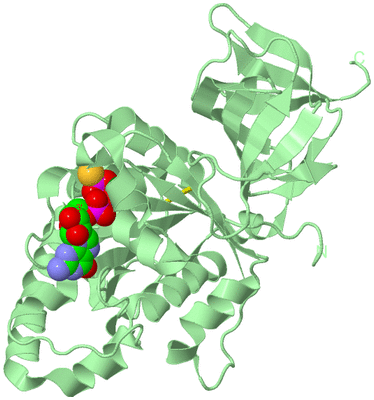 Image Biological Unit 1