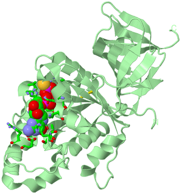 Image Biol. Unit 1 - sites