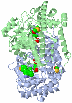 Image Biological Unit 1