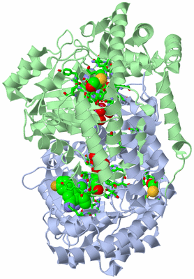 Image Biol. Unit 1 - sites