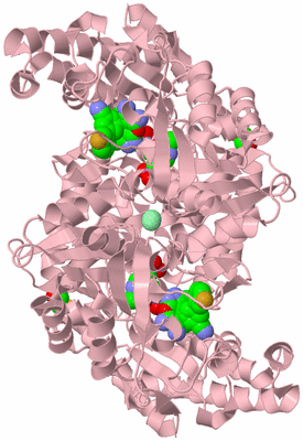 Image Biological Unit 2