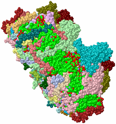 Image Biol. Unit 1 - sites