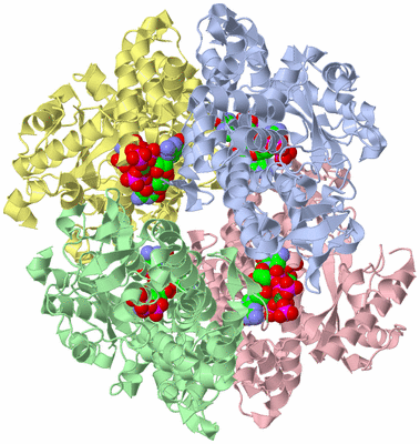 Image Asym./Biol. Unit