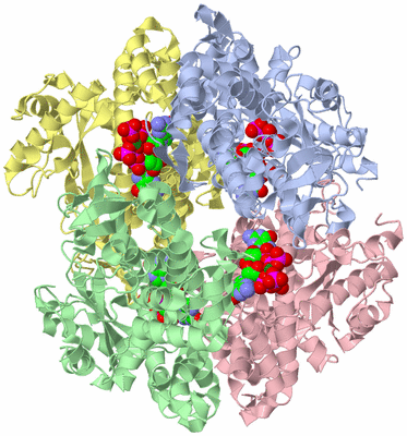 Image Asym./Biol. Unit