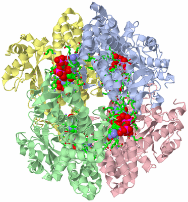 Image Asym./Biol. Unit - sites