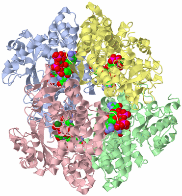 Image Asym./Biol. Unit