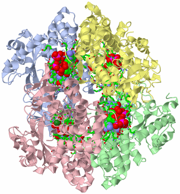 Image Asym./Biol. Unit - sites