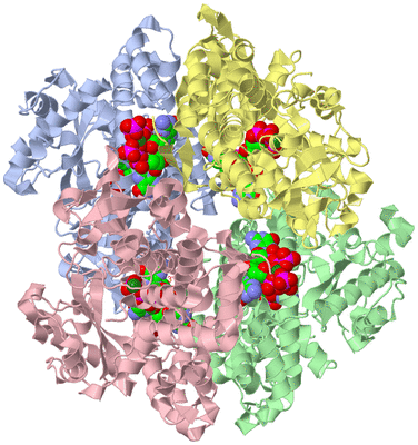 Image Asym./Biol. Unit