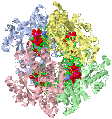 Image Asym./Biol. Unit - sites