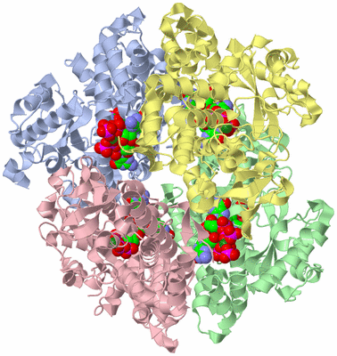 Image Asym./Biol. Unit