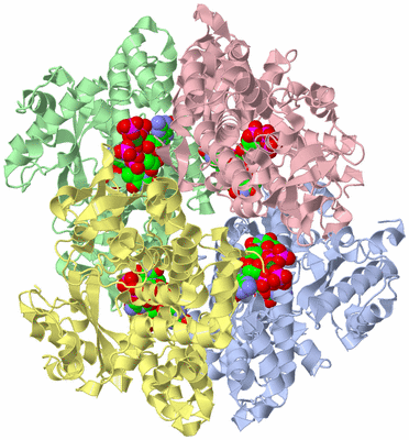 Image Asym./Biol. Unit