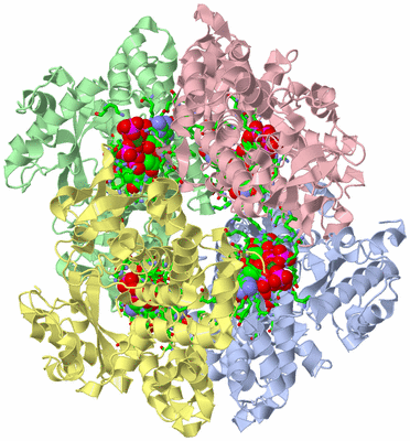 Image Asym./Biol. Unit - sites