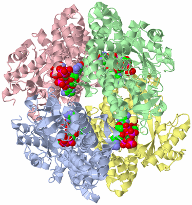 Image Asym./Biol. Unit