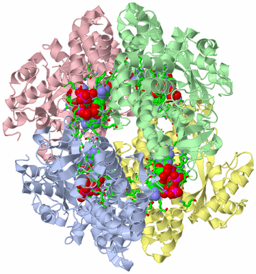 Image Asym./Biol. Unit - sites