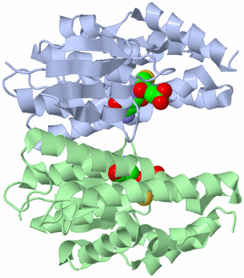 Image Asym./Biol. Unit