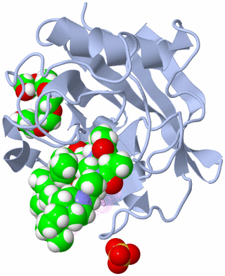 Image Biological Unit 1