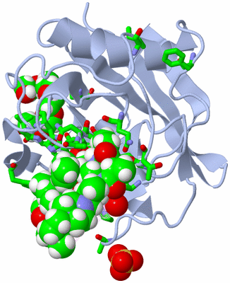 Image Biol. Unit 1 - sites