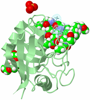 Image Biological Unit 2