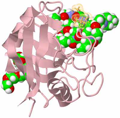 Image Biological Unit 3