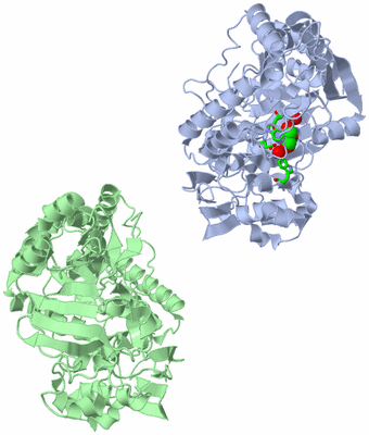 Image Asym. Unit - sites