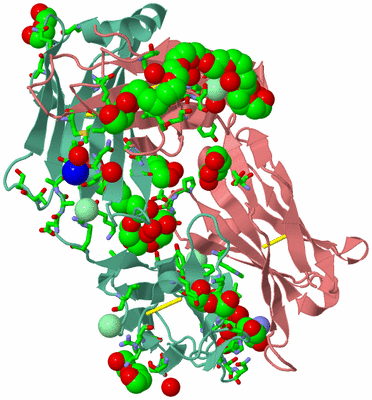 Image Asym./Biol. Unit - sites