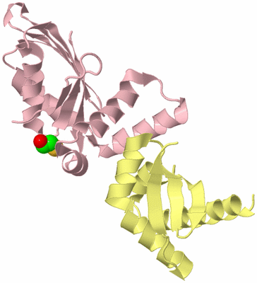 Image Biological Unit 2