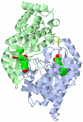 Image Asym./Biol. Unit