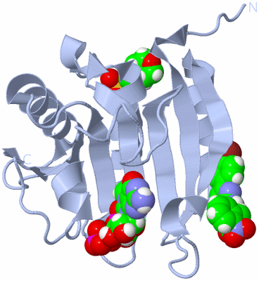 Image Biological Unit 1