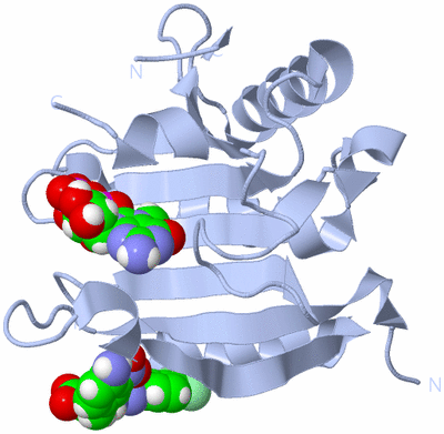 Image Biological Unit 1