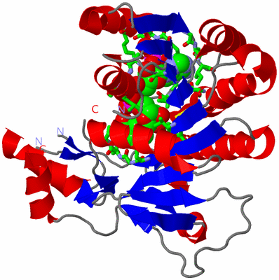 Image Asym./Biol. Unit - sites