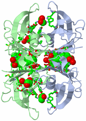 Image Biol. Unit 1 - sites